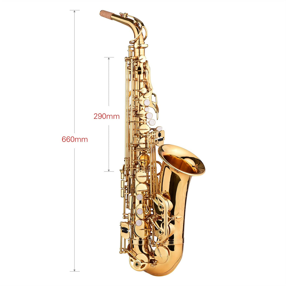 E Flat Alto Saxophone Brass Gold Lacquer C8861