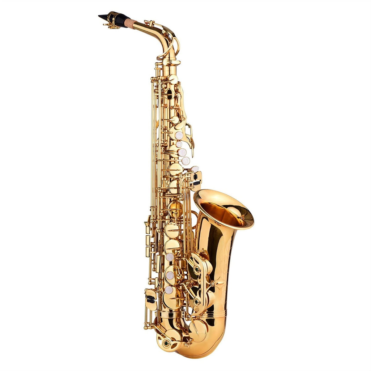 E Flat Alto Saxophone Brass Gold Lacquer C8861