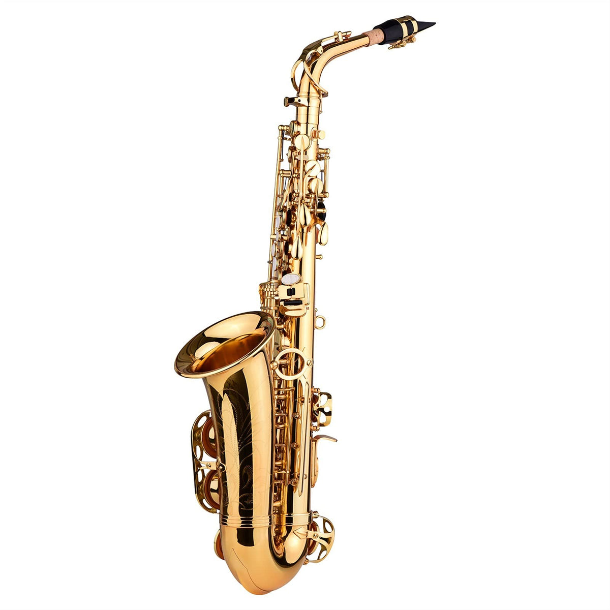 E Flat Alto Saxophone Brass Gold Lacquer C8861