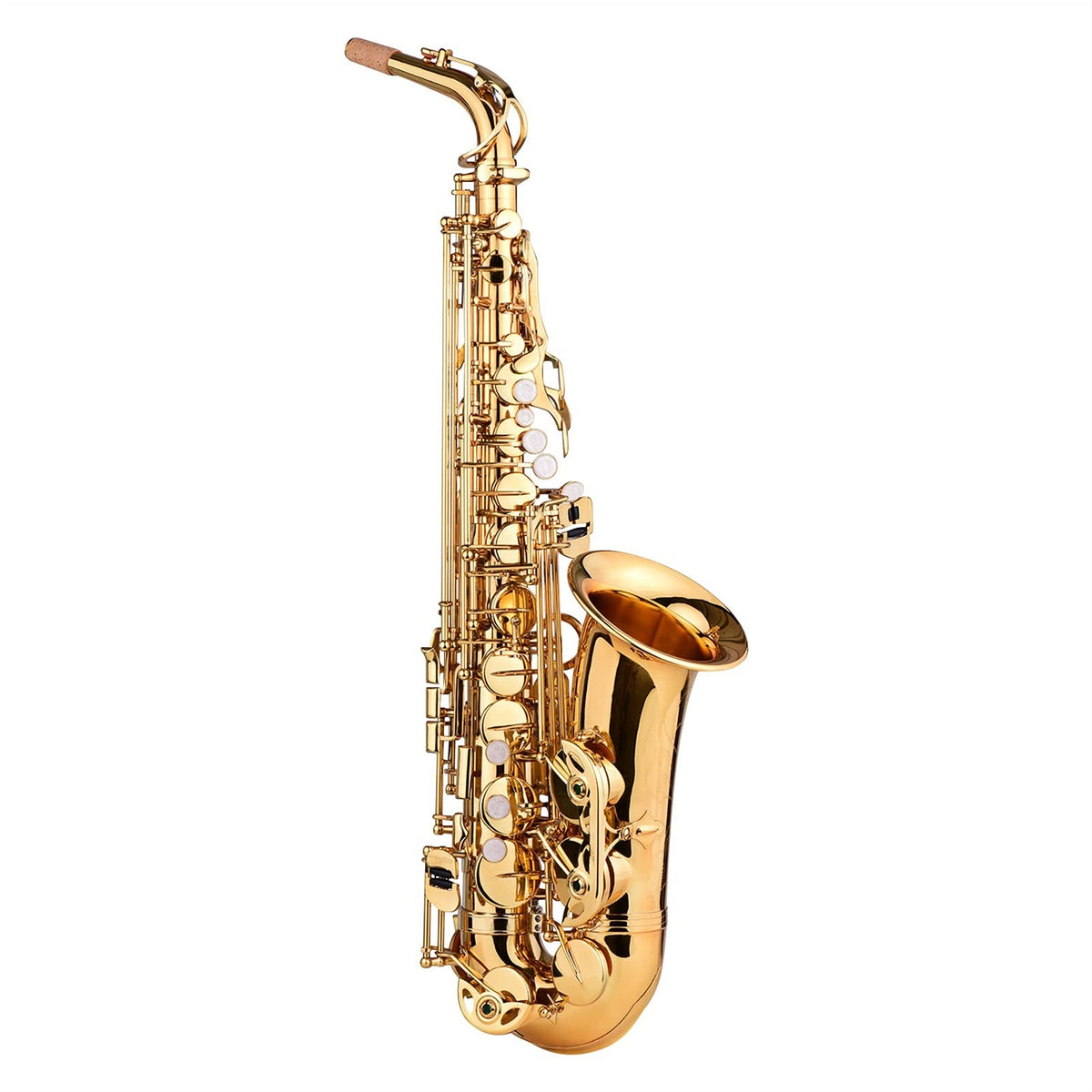 E Flat Alto Saxophone Brass Gold Lacquer C8861
