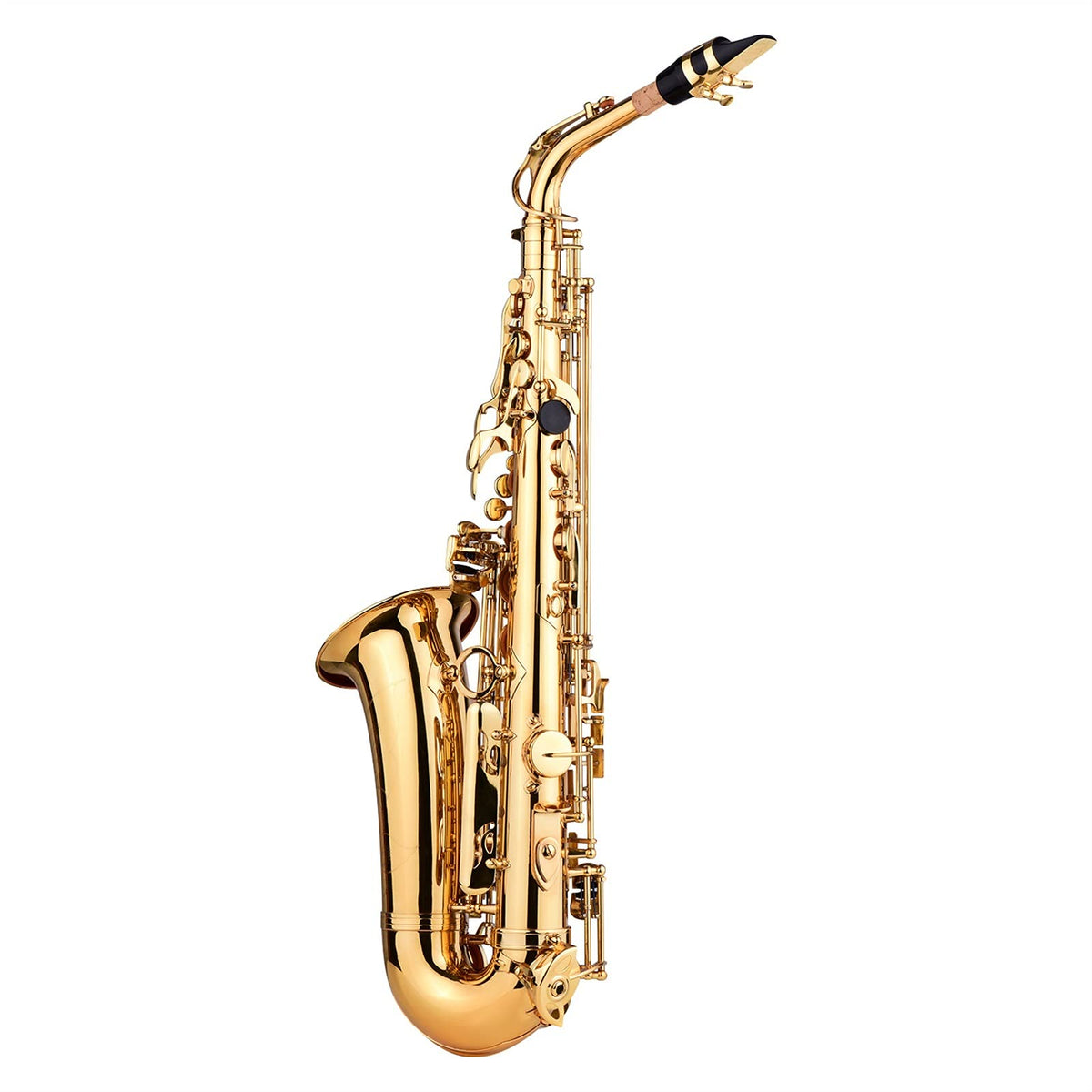 E Flat Alto Saxophone Brass Gold Lacquer C8861