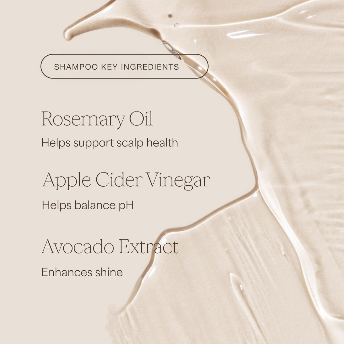 Shampoo and Conditioner Set 16 Fl Oz L450066