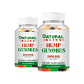 Hemp Gummies 2 Pack 120 Gummies B978