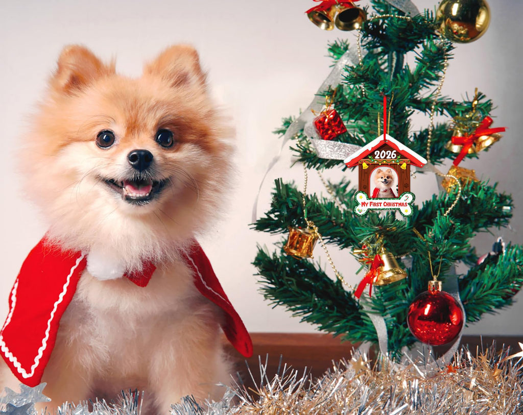 Dog Picture Frame Ornament G306