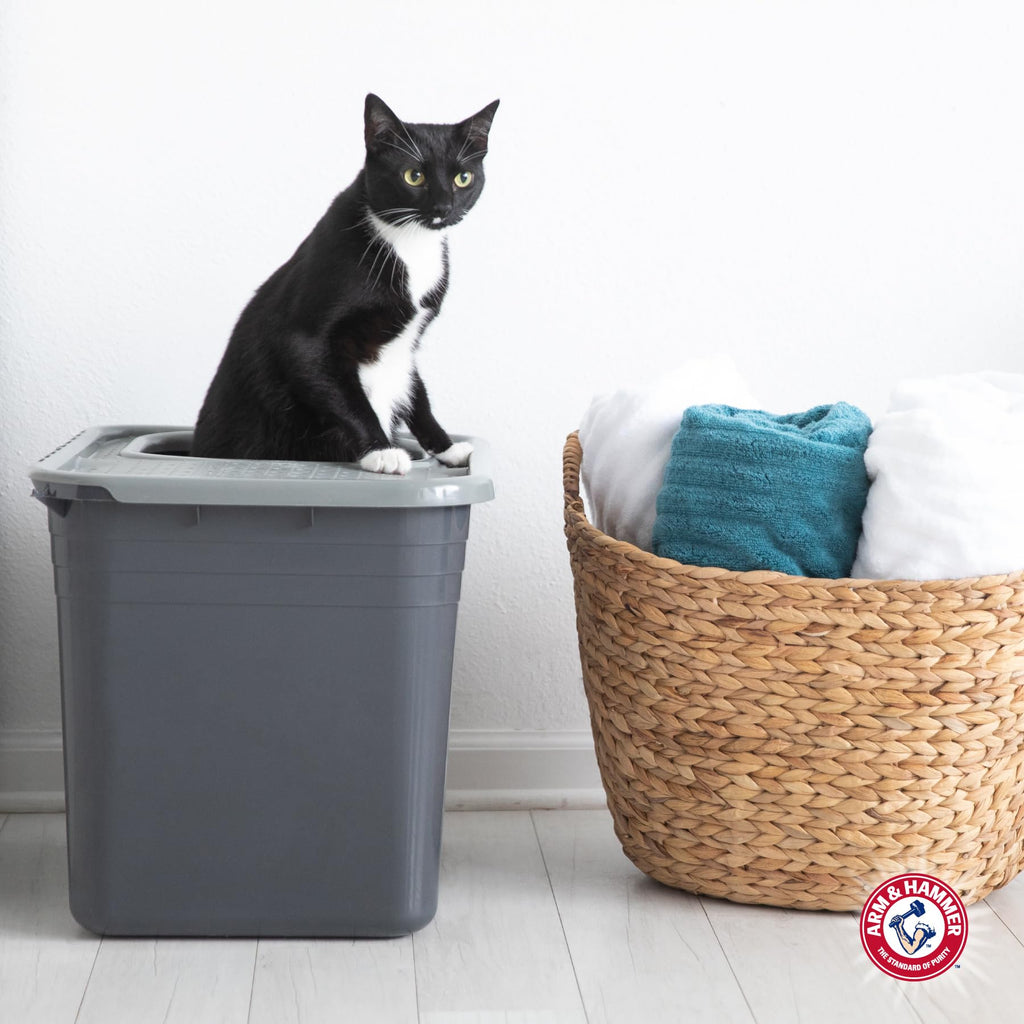 Top Entry Litter Box with Filter D2122