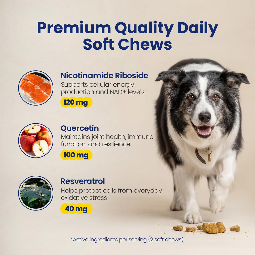 90 Soft Chews NAD+ Precursor Senior Dog Supplement C83810