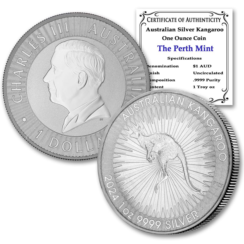 1 oz Australian Silver Kangaroo Coin Y335068