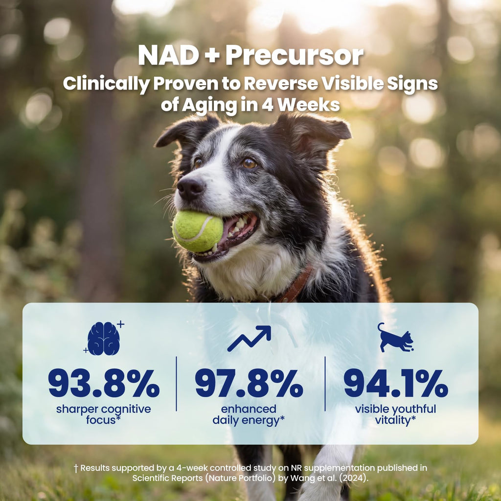 90 Soft Chews NAD+ Precursor Senior Dog Supplement C83810