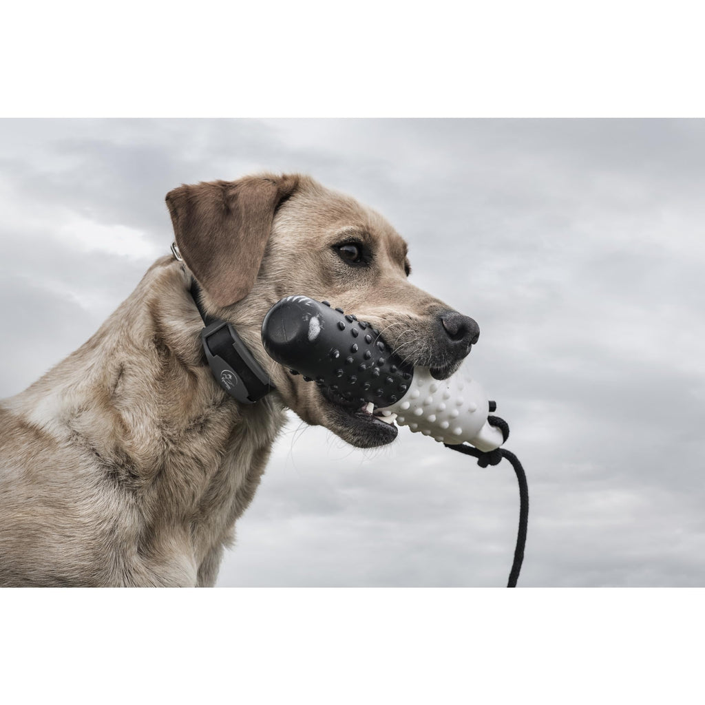 Waterproof Remote Trainer F778574