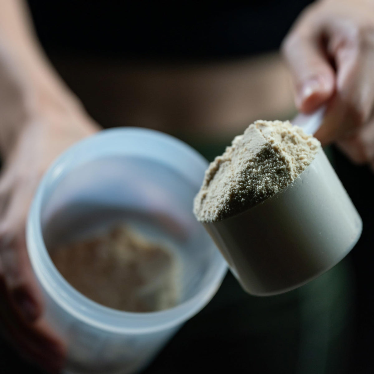 Vegan Protein Powder Vanilla P8752