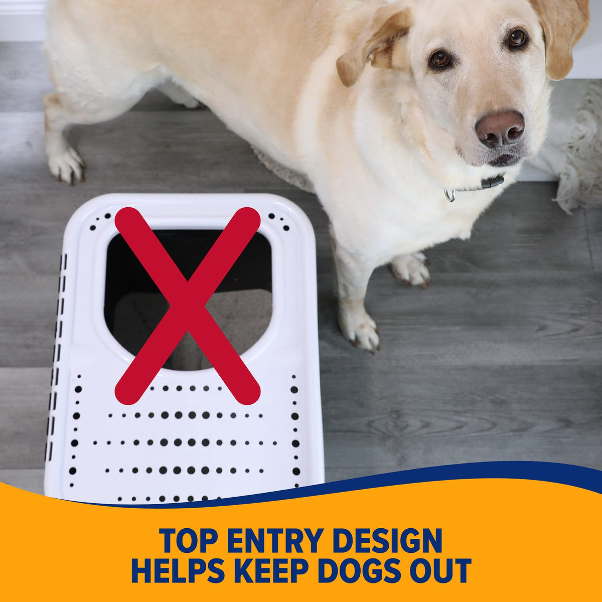 Top Entry Litter Box with Filter D2122