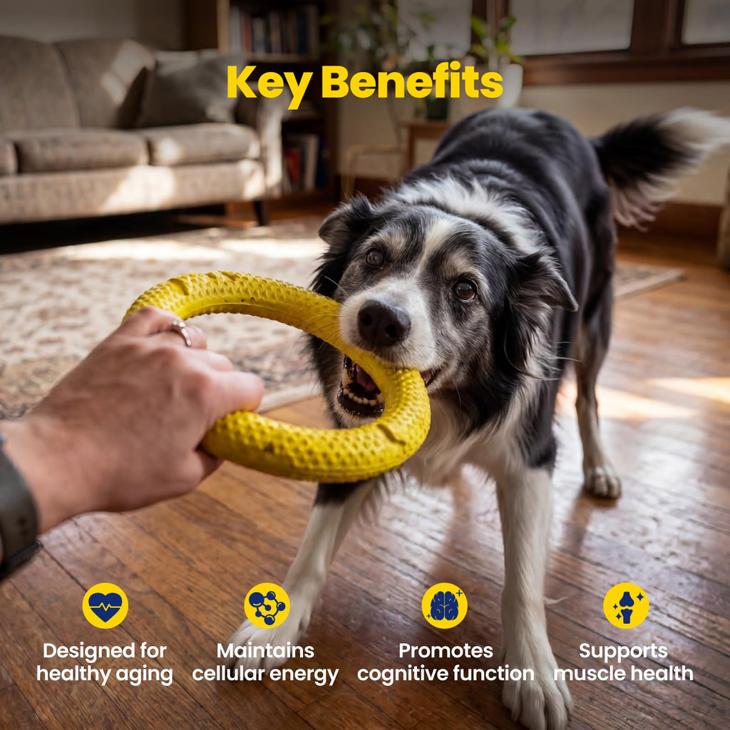 90 Soft Chews NAD+ Precursor Senior Dog Supplement C83810