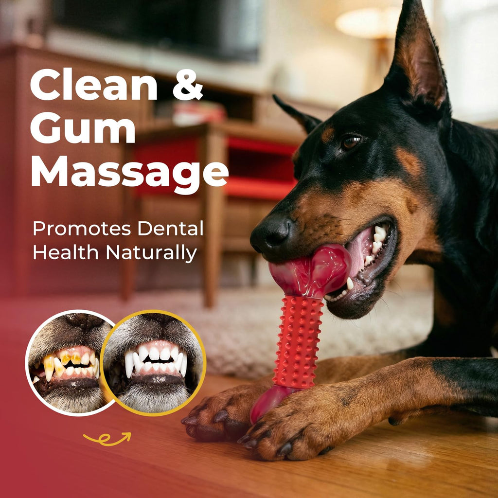 Beef Flavored Dog Chew Toys B4048
