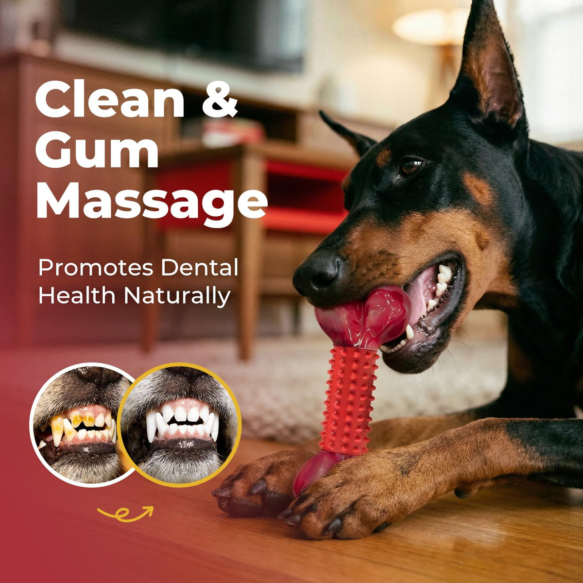 Beef Flavored Dog Chew Toys B4048