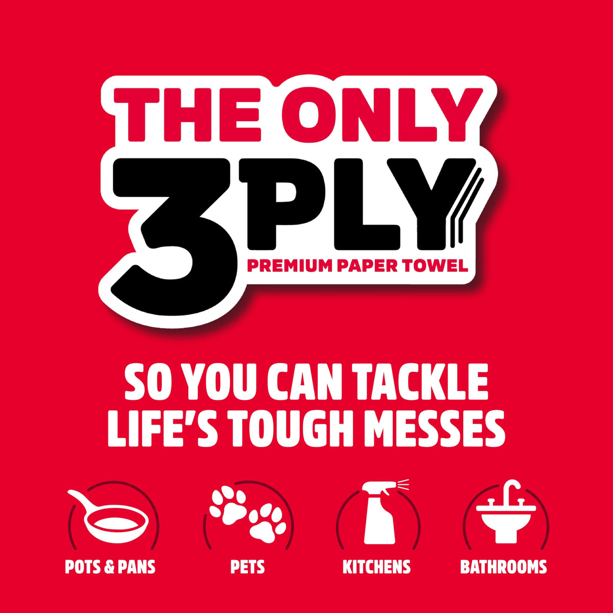 3-Ply Paper Towels B481131
