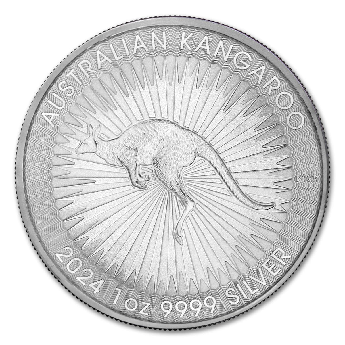 1 oz Australian Silver Kangaroo Coin Y335068