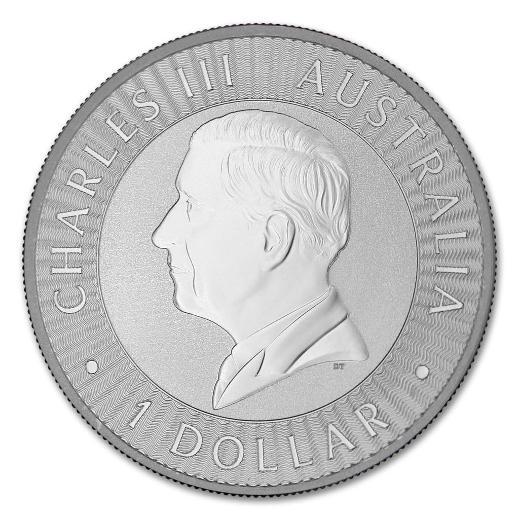 1 oz Australian Silver Kangaroo Coin Y335068