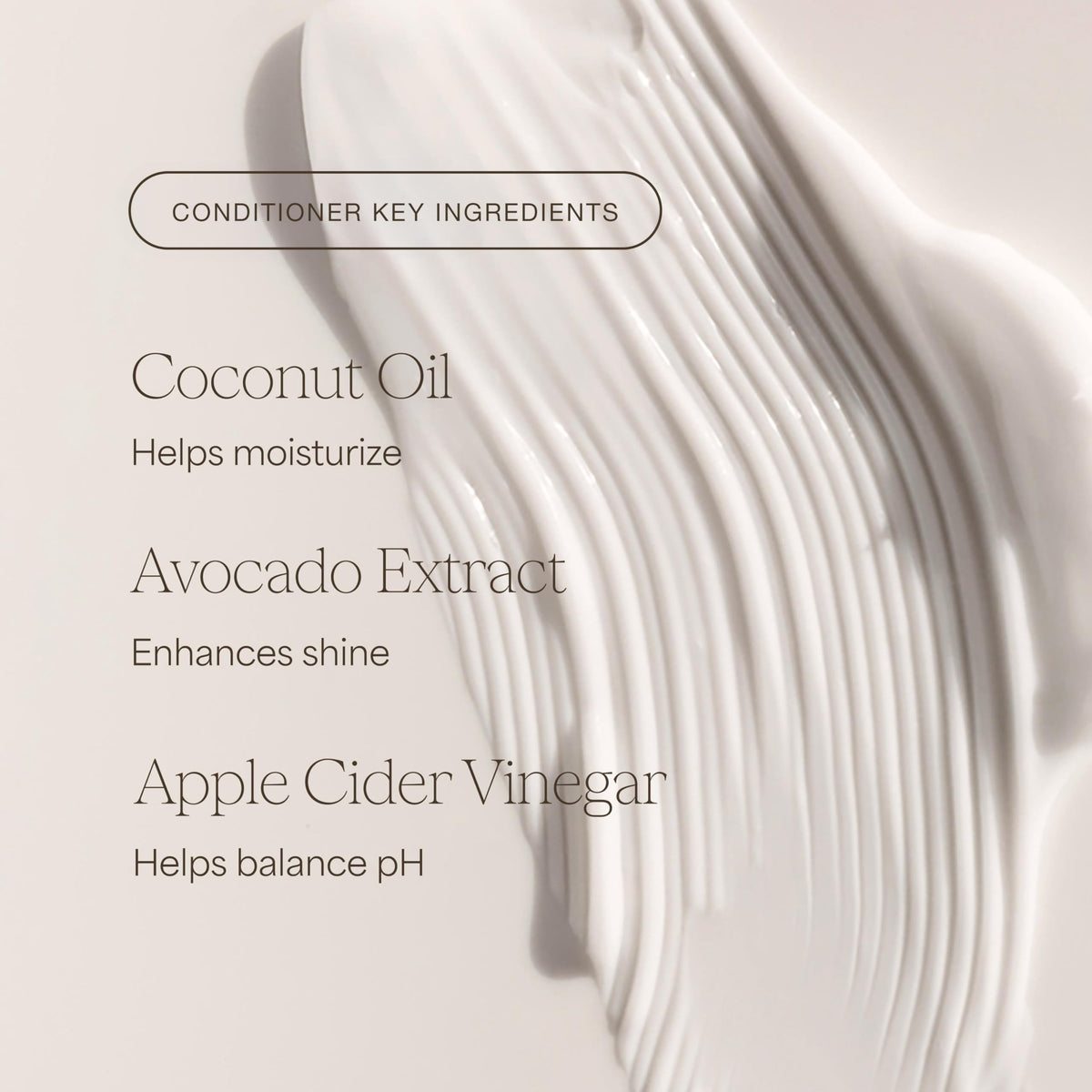 Shampoo and Conditioner Set 16 Fl Oz L450066