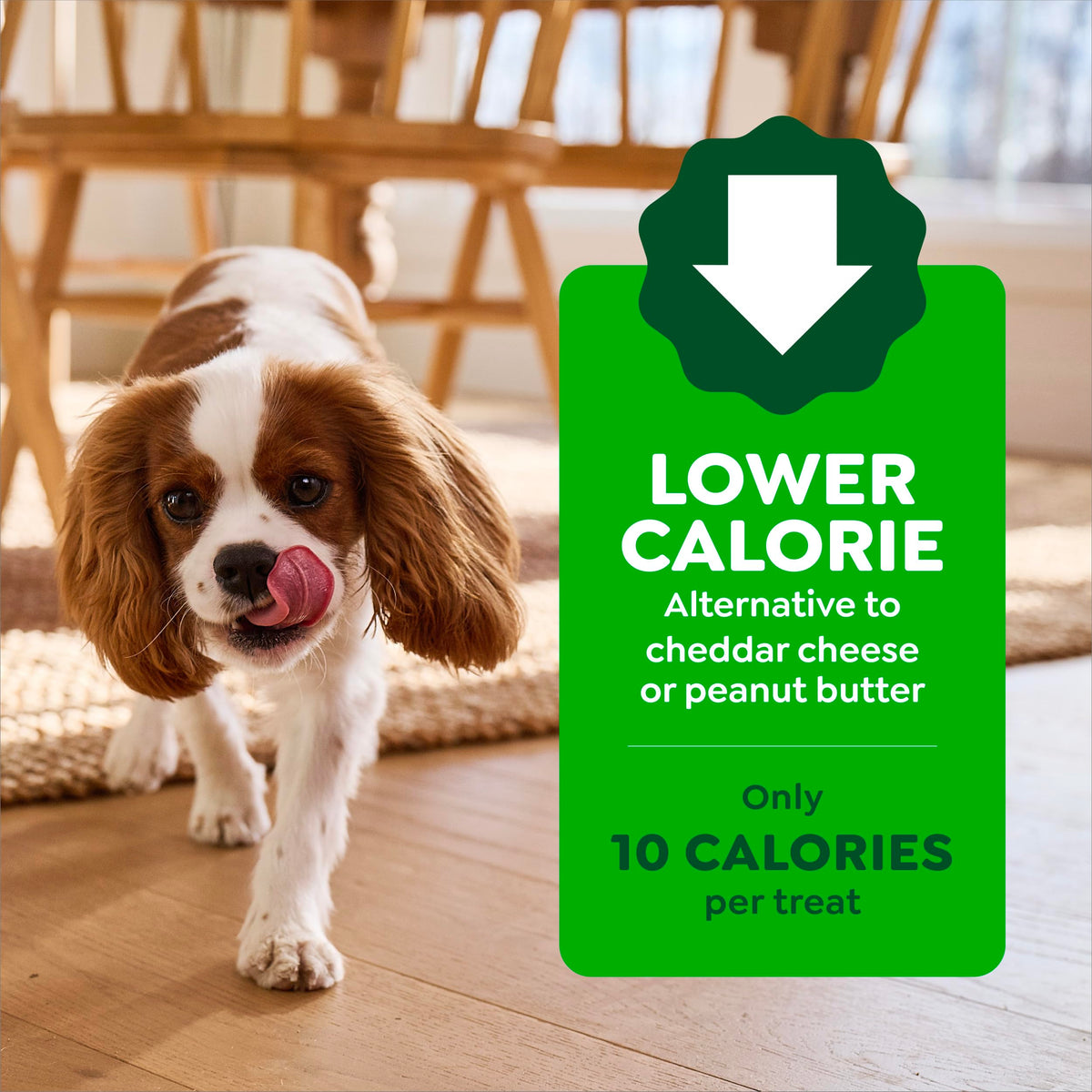 Chicken Flavor Small Dog Treats 3.2 oz M152