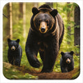 Black Bear 3D Coaster X96082