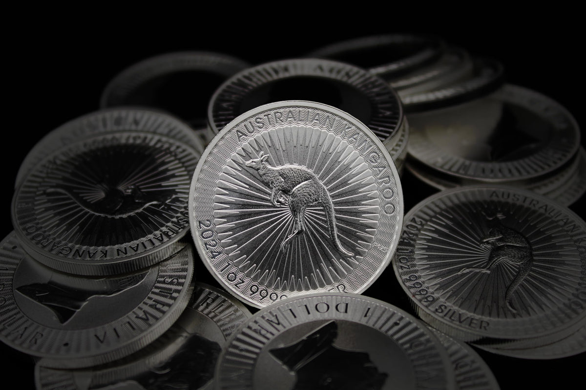 1 oz Australian Silver Kangaroo Coin Y335068
