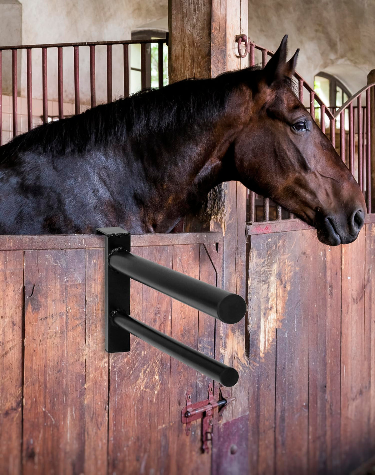 Black PVC Coated Double Saddle Rack C9396