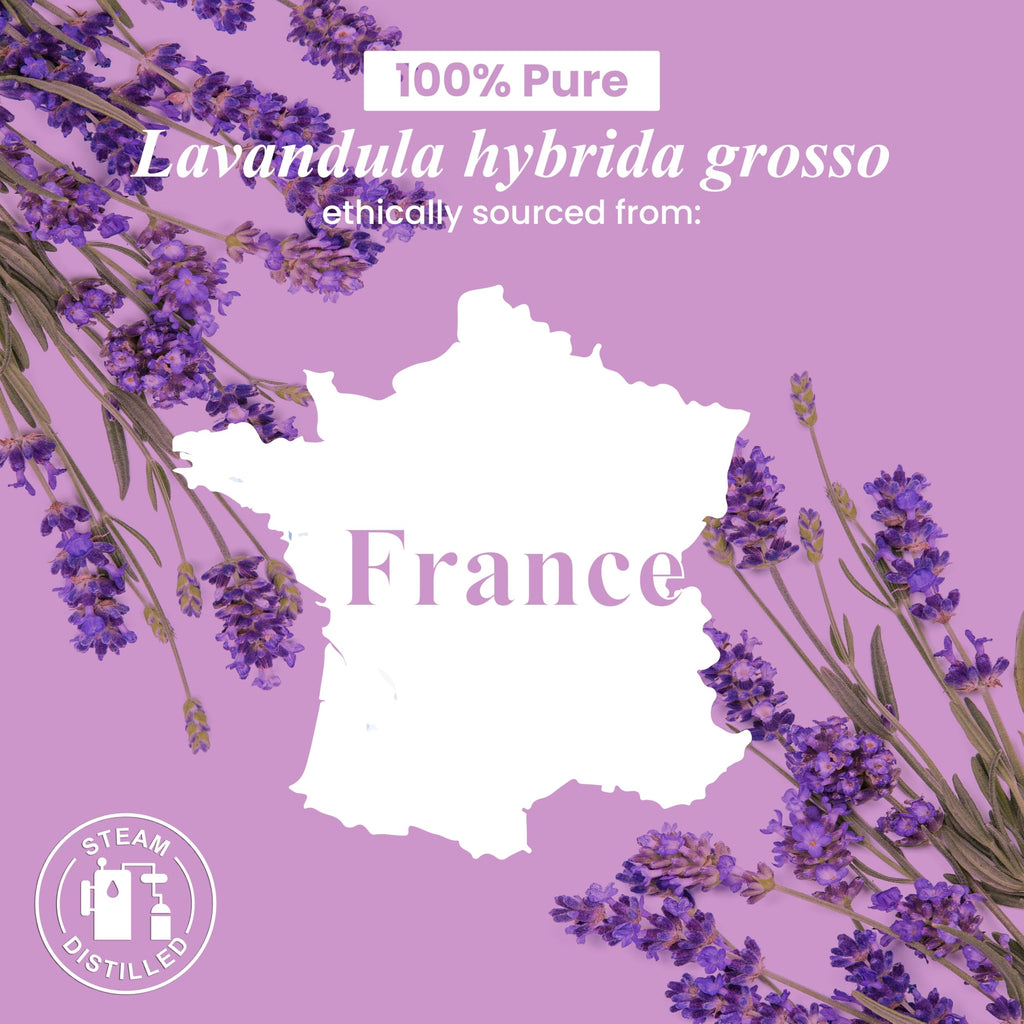Lavender and Lemon Essential Oils 2 x 4 Fl Oz X277