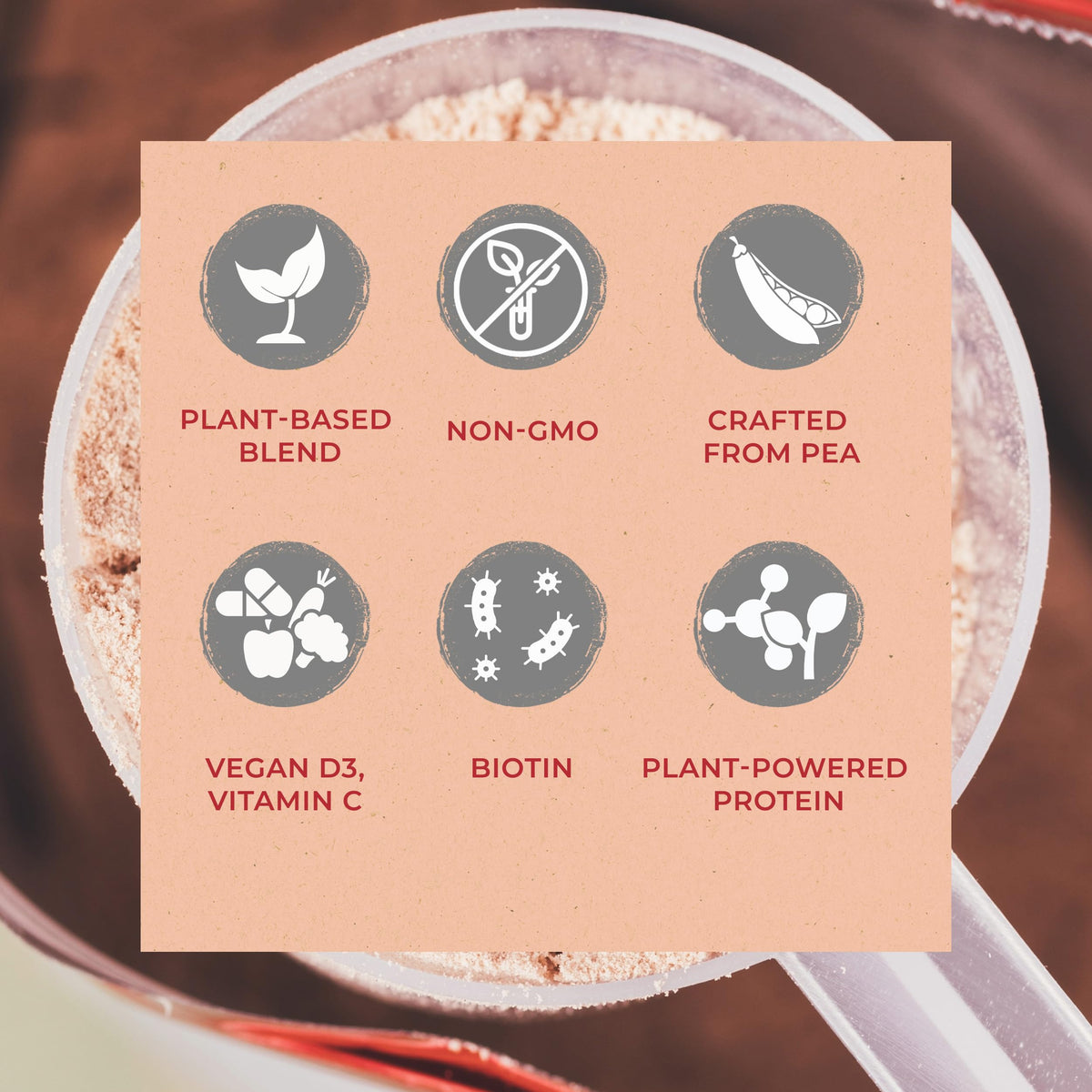Vegan Protein Powder Vanilla P8752