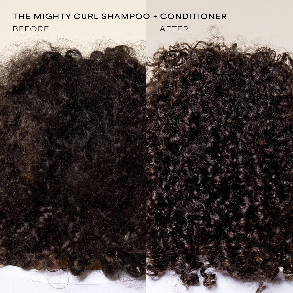 Shampoo and Conditioner Set 16 Fl Oz L450066