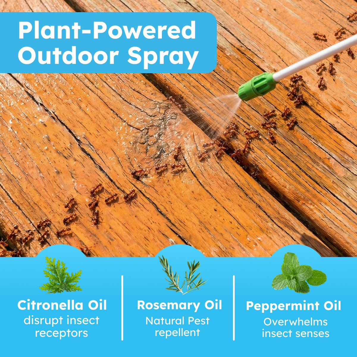 Peppermint Oil Bug Spray and Mosquito Repellent P2055