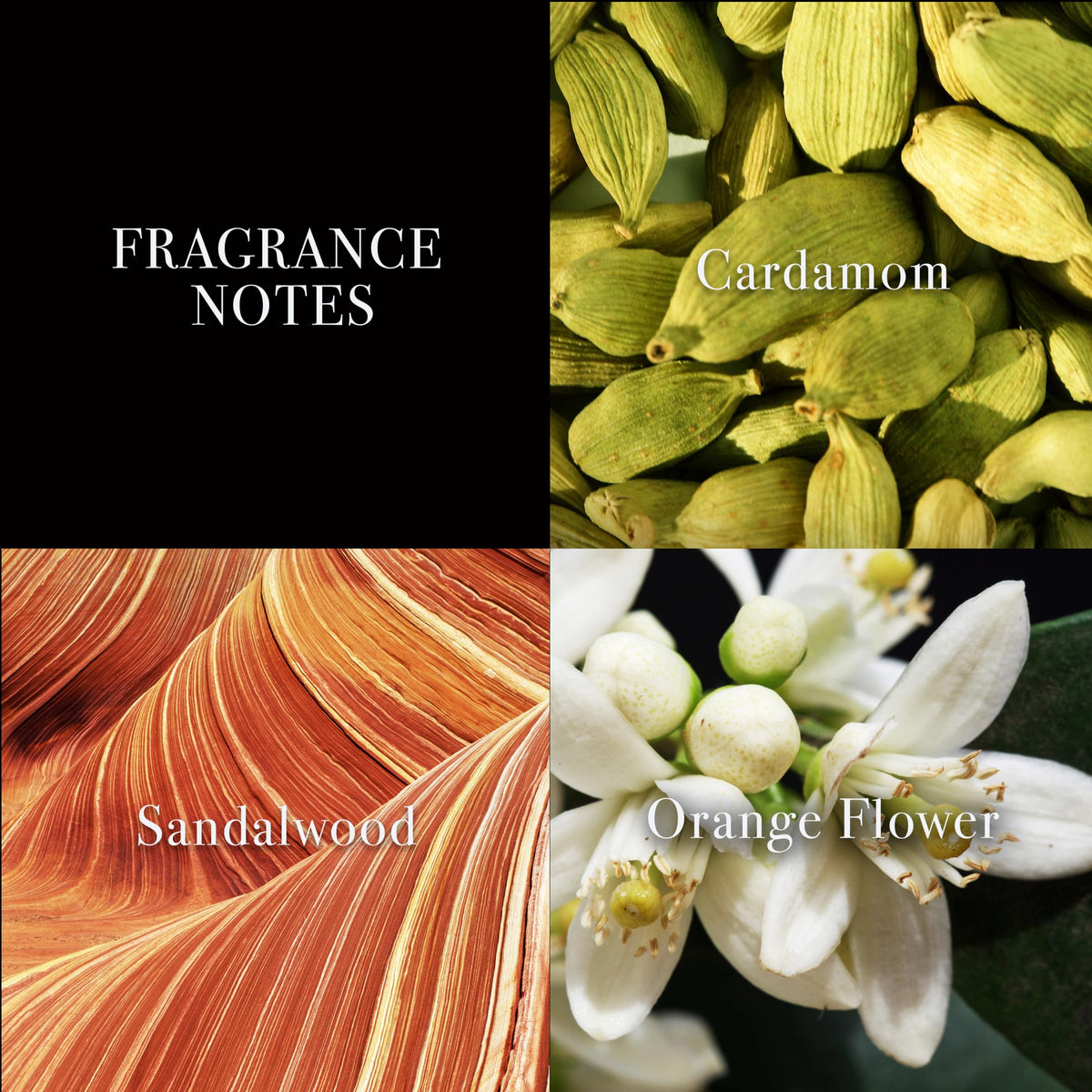 Men's Eau de Toilette EDT Spray F544019
